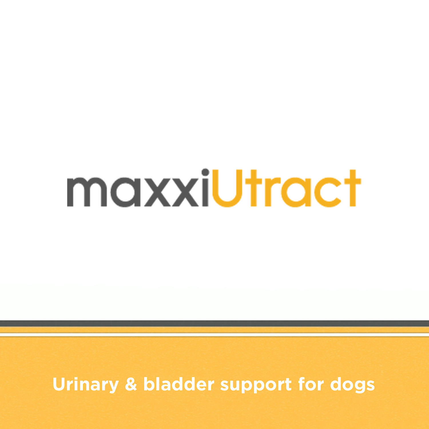 Supports the whole canine urinary system