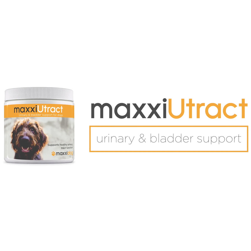 Video about maxxiUtract urinary, kidney and bladder supplement for dogs 