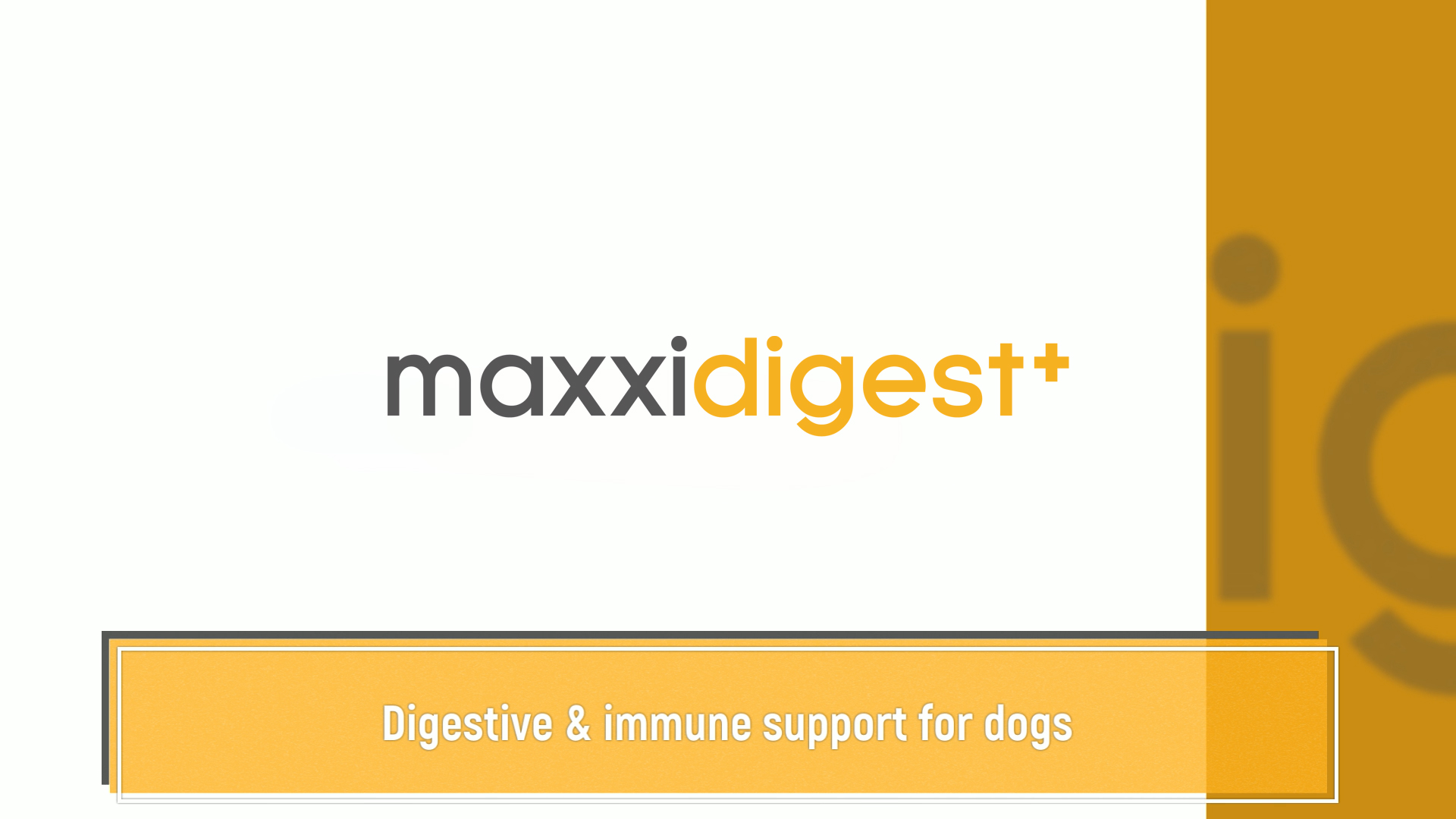 Canine probiotics, prebiotics and digestive enzymes for dogs