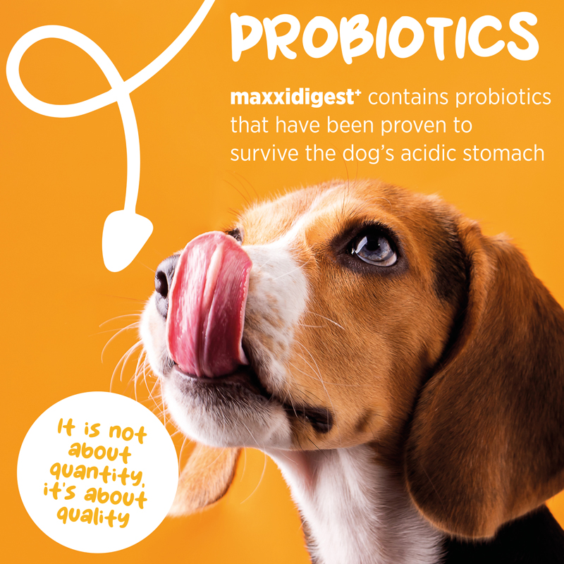 maxxidigest prebiotics for dogs