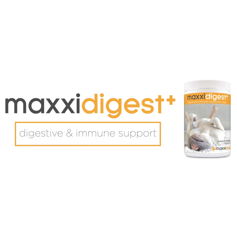 Video maxxidigest+ probiotics prebiotics digestive enzymes for dogs