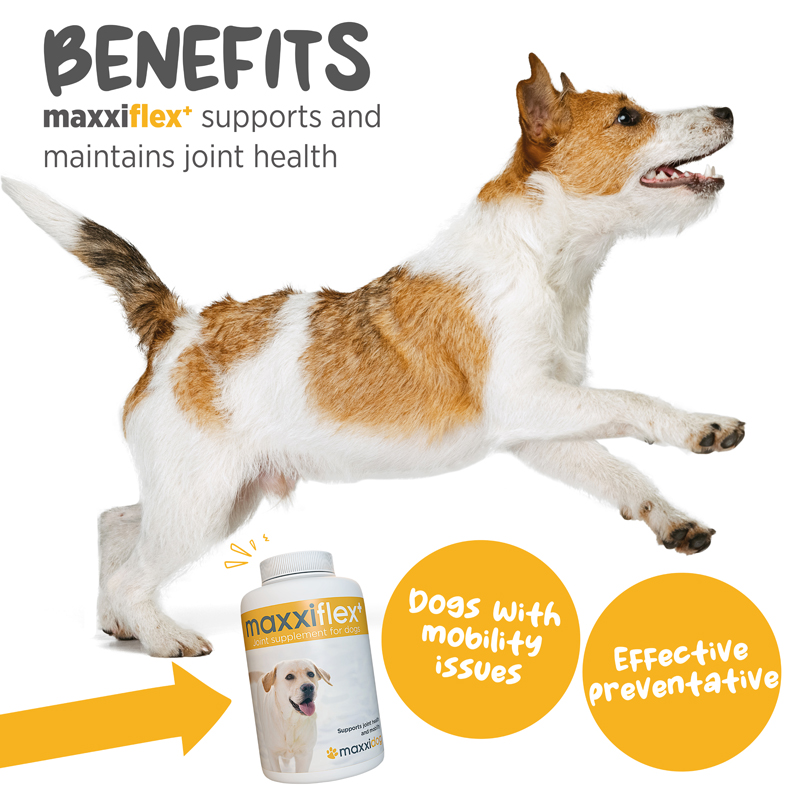 maxxiflex palatable joint tablets for dogs