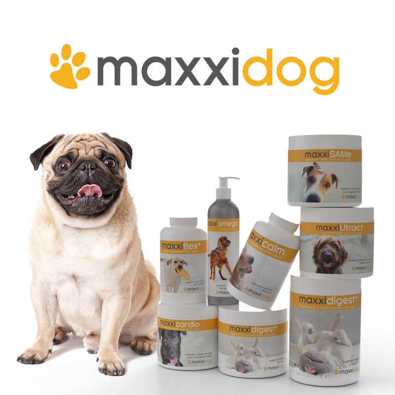 Bottles of maxxidog health supplments for dogs from maxxipaws