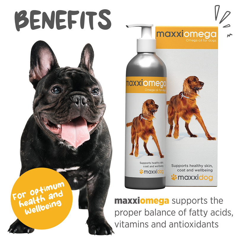 maxxiomega oil for dogs with anti inflammatory omega 3